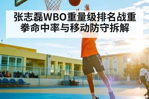 张志磊WBO重量级排名战重拳命中率与移动防守拆解